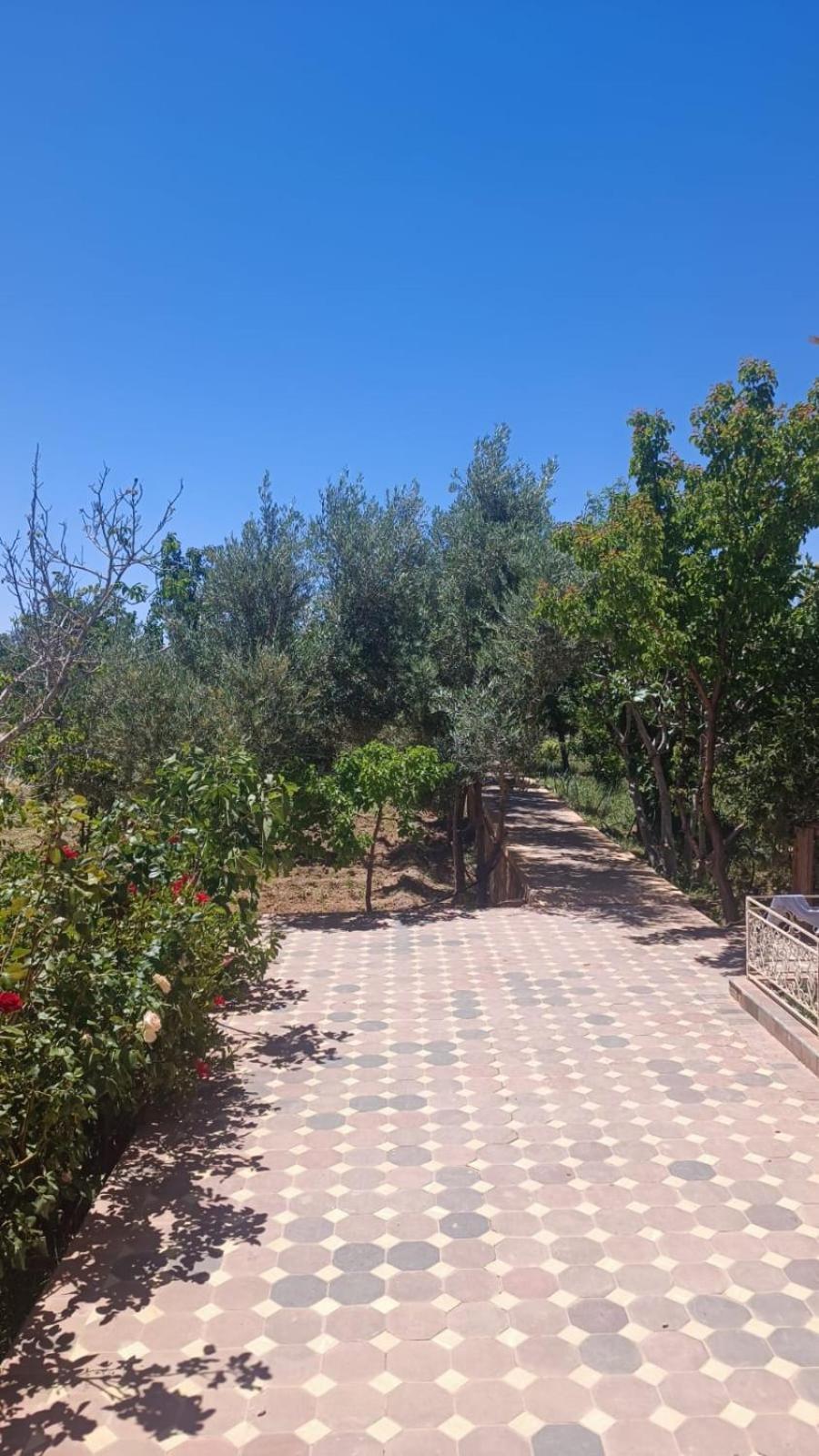 Chez L'Habitant Amazigh Ouarzazate Eksteriør bilde