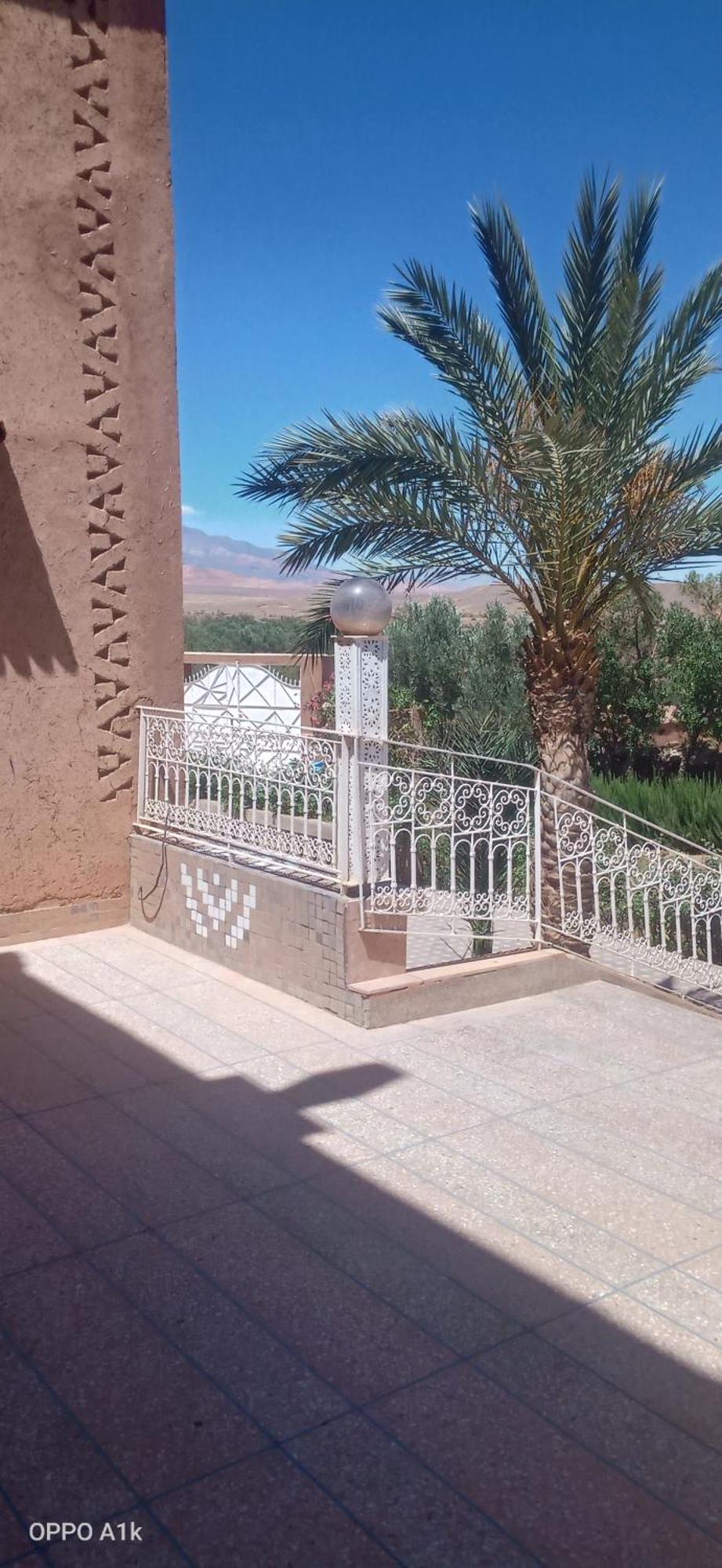 Chez L'Habitant Amazigh Ouarzazate Rom bilde